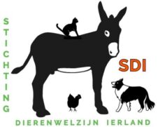 Stichting Dierenwelzijn Ierland logo